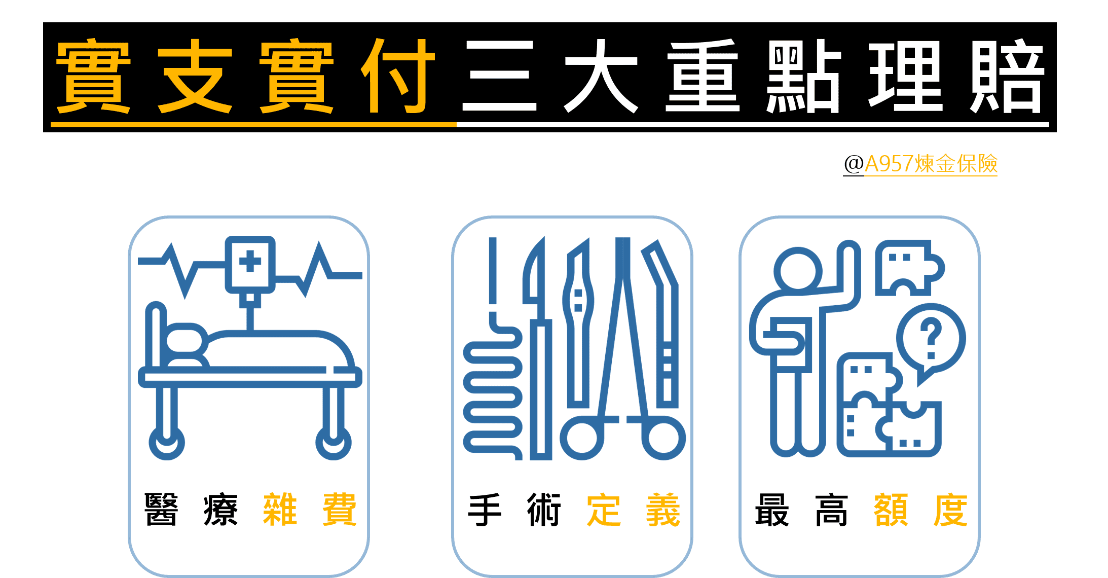 實支實付醫療險-重點理賠項目