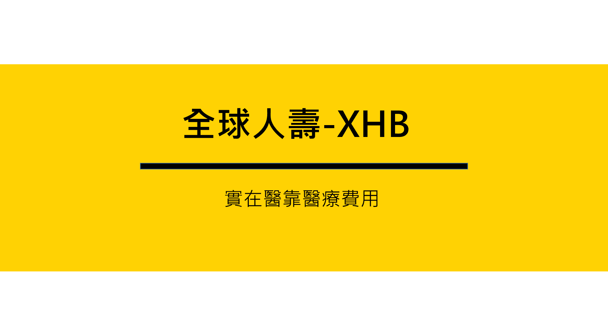 XHB-實支實付-全球-實在醫靠