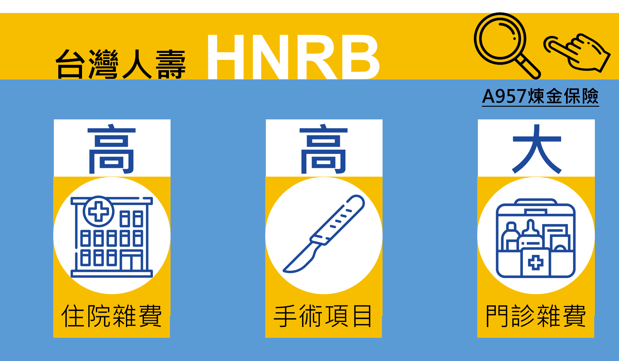 台壽HNRB,高手術費用,雜費廣,腫瘤另計,常見醫療實用 10 HNEB-台灣人壽-比較