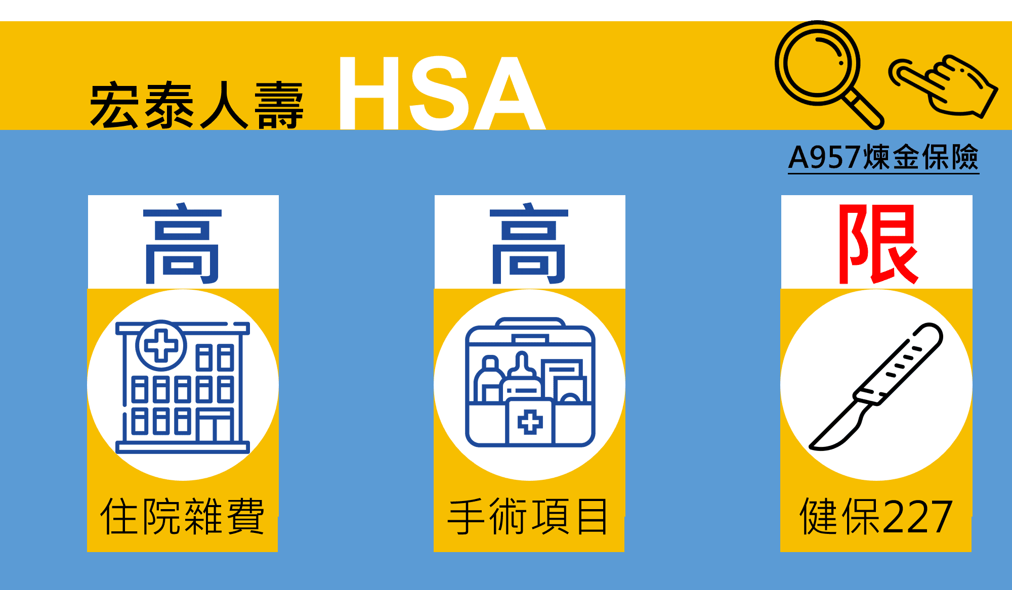 宏泰人壽薰衣草附約HSA,規劃前,用A取代B優點,優缺點有注意嗎? 11 宏泰人壽薰衣草附約HSA,規劃前,用A取代B優點,優缺點有注意嗎?