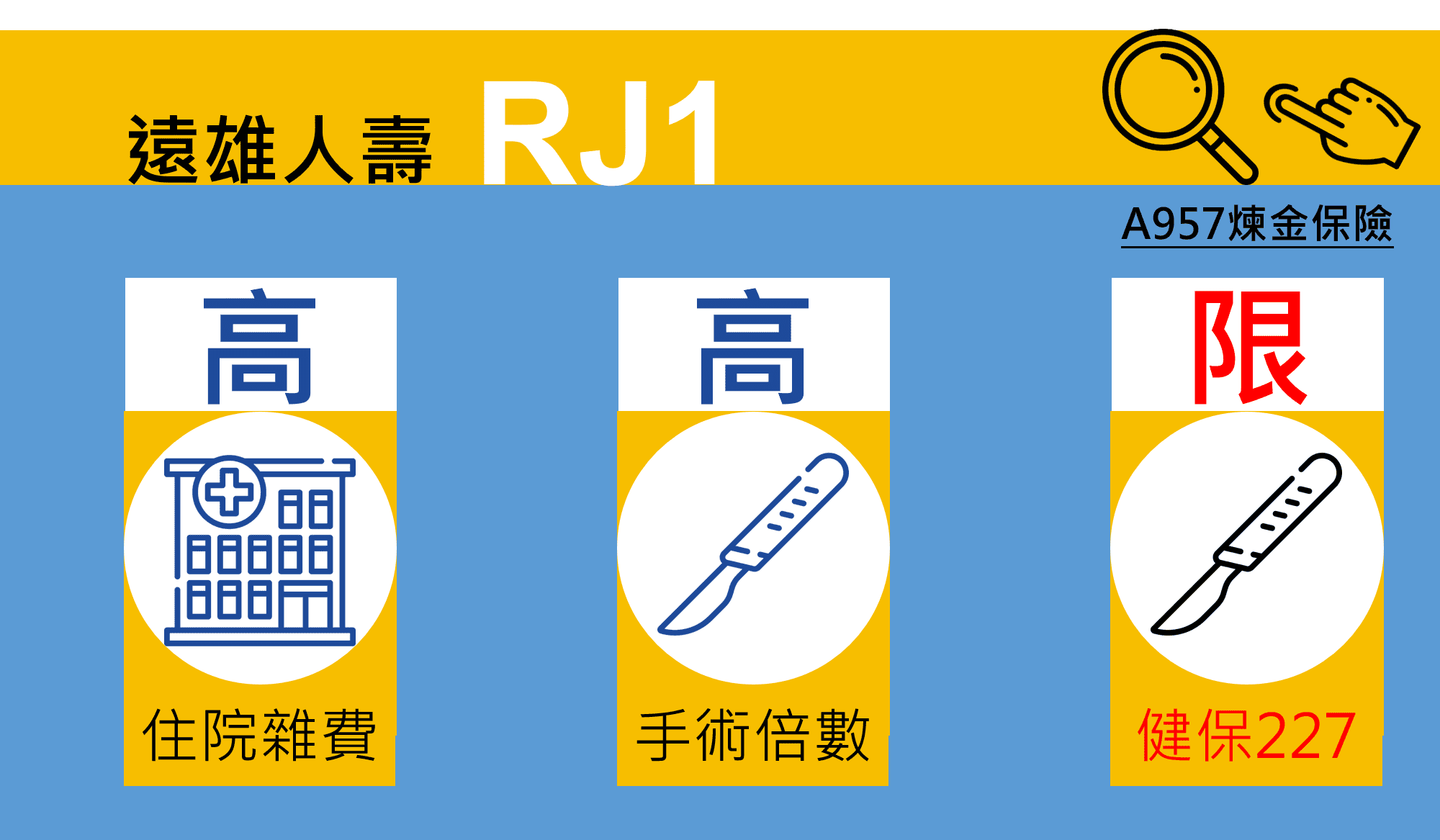 遠雄康富RJ1,兩點有爭議,但重點是額度高,大病實用,熱銷也要適合! 2 康富-遠雄RJ1-推薦比較整理重點